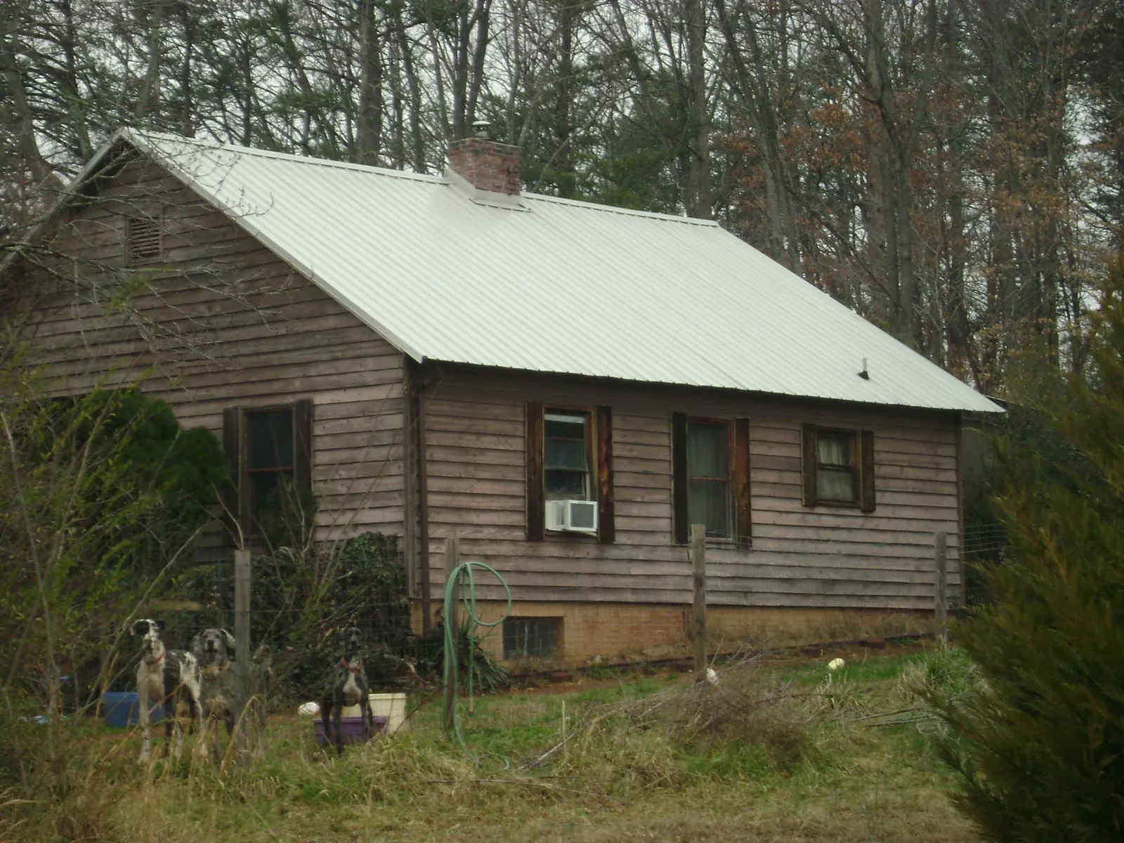 White metal roof on an old wood sided farmhouse, from a Asphalt Shingle Roof Repair job in Bailey Island